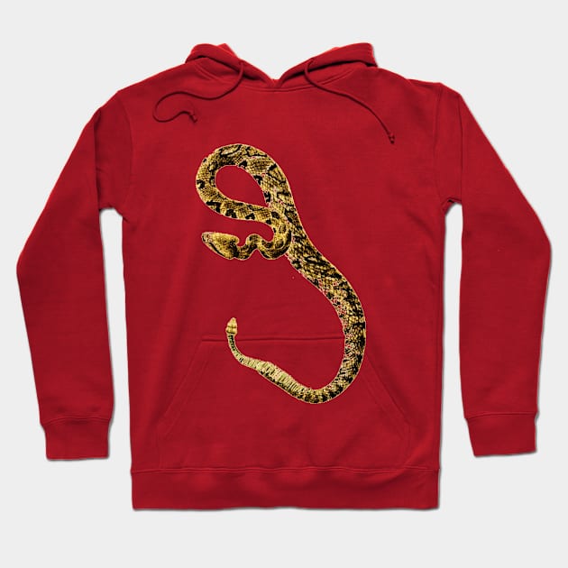 serpent,cobra,reptile,viper,venom,lizard,rattlesnake,king cobra,dragon,hydra,poison,venomous,plumber's snake,pythonidae,pythons,auger,python,squamata,serpentine,worm,big,ophidian,rattlesnakes,medusa,snakebite Hoodie by vabontchi